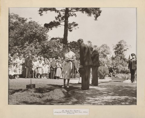 Her Majesty Queen Elizabeth II planting a tree (Tristania Conferta) in the Botanical Gardens, Melbourne, 4th March 1954