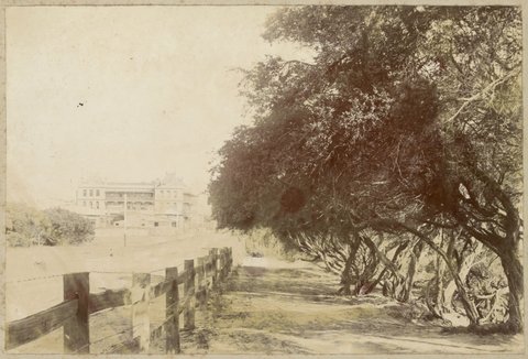 Sandringham House (Coffee Palace) & Beach Road, 1900–10