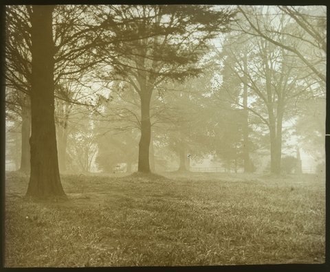 In Fitzroy Gardens, Melbourne, 1875–1930
