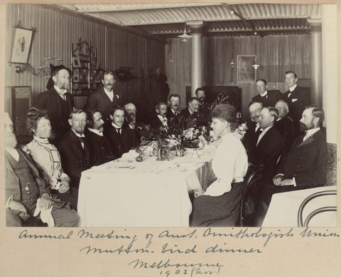 Annual meeting of Aust. Ornithologists Union, mutton bird dinner, Melbourne, 1902 (Nov.) Vic, c. 1902