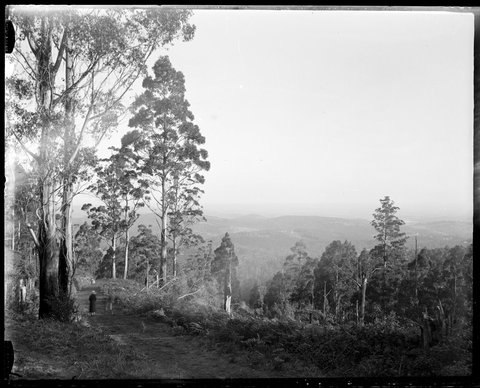 Eltham, 1935