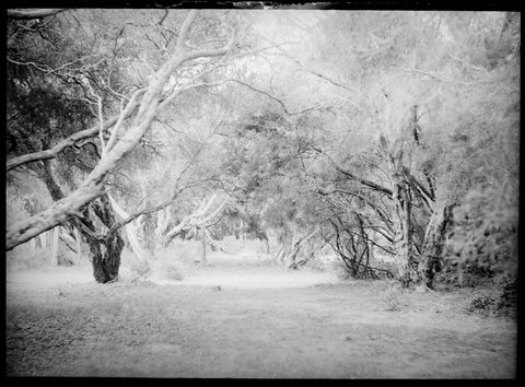 Ivanhoe, Sorrento, Vic, 1908–14