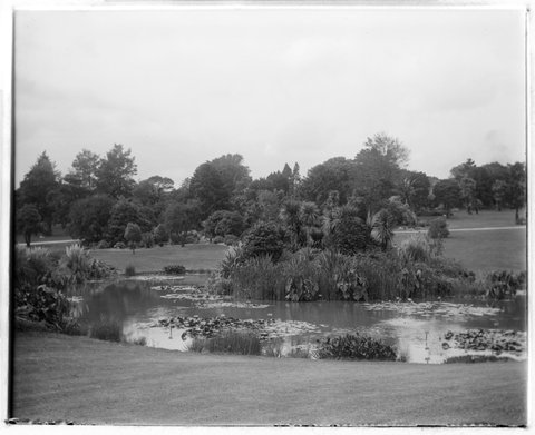 The water lily pond, Botanical Gardens, Melbourne, Vic, 1907–13