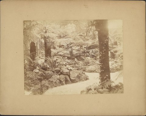 Views of Pine Grove Lennox Street Richmond, 1905