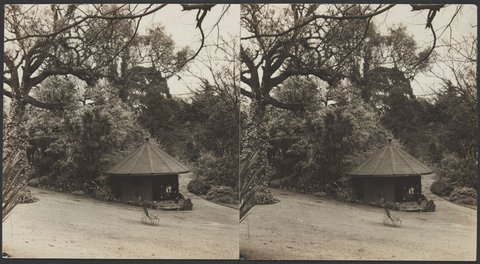 Botanical Gardens, Melbourne, Victoria, 1906?