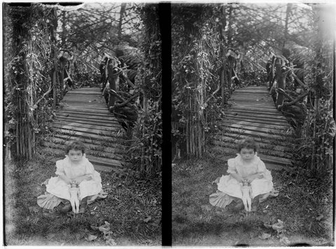 Women and children, possibly in the gardens of Pine Grove, Lennox Street, Richmond, 1902–08