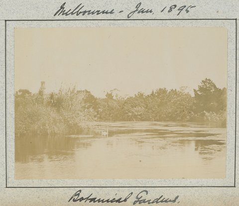 Hewlett's education at the University of Melbourne Medical School and visits with family and friends, 1883–95