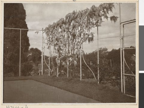 In the grounds of Government House, Melbourne, Victoria, c. 1913