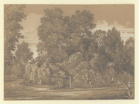 The larger rockery at Jolimont, 1852–54
