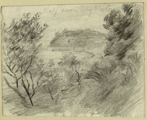 Bayside scenes, Melbourne, 1876–80