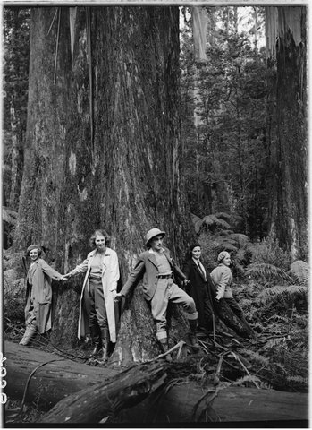 Walkers in Dandenong Forest, 1937–39