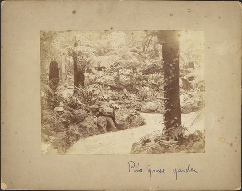 Views of Pine Grove Lennox Street Richmond, 1905