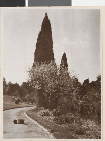 In the grounds of Government House, Melbourne, Victoria, c. 1913