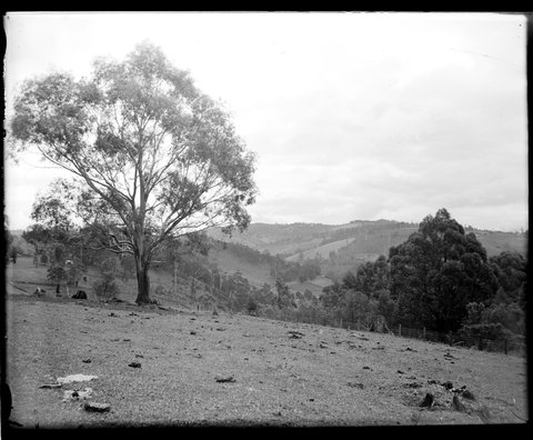 Eltham, 1935