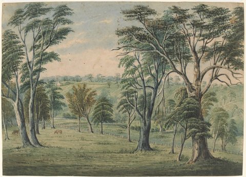 Showing house at Gardiners Creek, Hawthorn, 1850–55