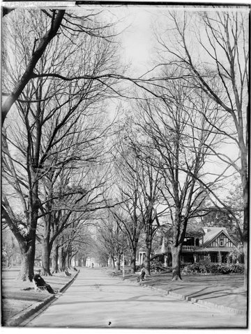 Fitzroy Gardens Melb. [in winter], 1880–1930