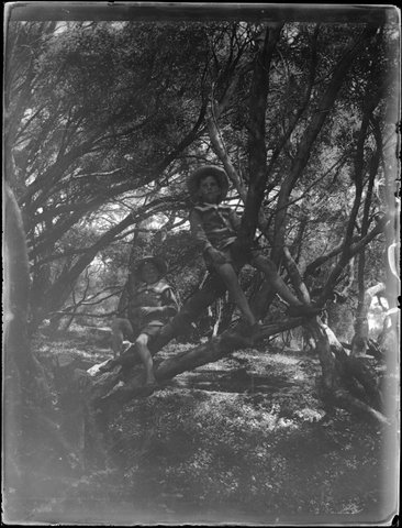 Wardell children at Ivanhoe, Sorrento, Vic, 1914