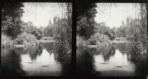 Botanical and Treasury Gardens, Melbourne, Victoria, 1890–1910