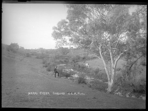 Merri Creek, Coburg, 1914–16