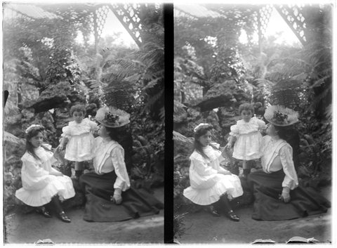 Women and children, possibly in the gardens of Pine Grove, Lennox Street, Richmond, 1902–08