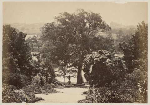 Botanical Gardens. [Melbourne], 1875