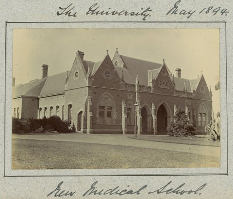 Hewlett's education at the University of Melbourne Medical School and visits with family and friends, 1883–95