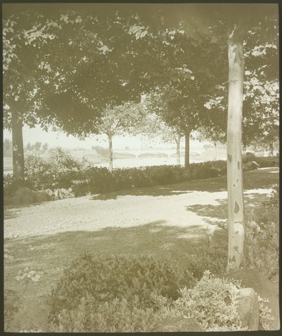 Alexandra Avenue, Melbourne 1921