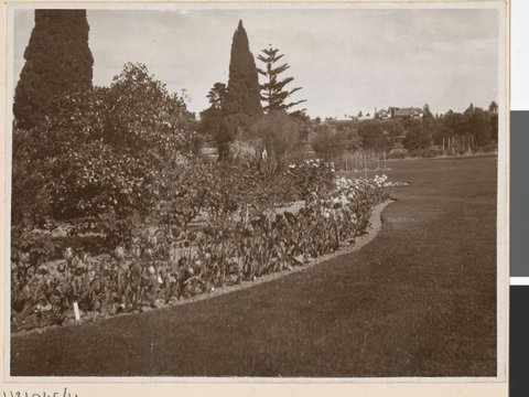 In the grounds of Government House, Melbourne, Victoria, c. 1913