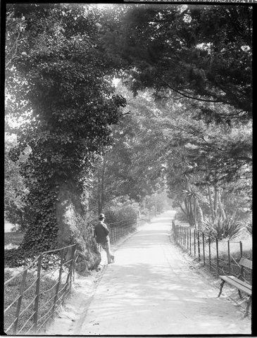 Fitzroy Gardens, Melbourne, 1880–94