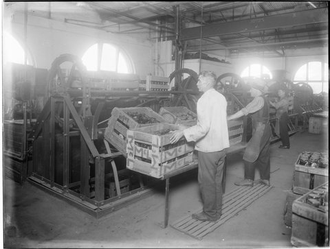 Loading the bottle washer, Carlton Brewery, 1938
