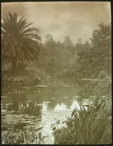 Botanical Gardens, Melbourne 1920