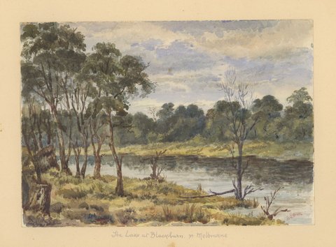 The lake at Blackburn. nr. Melbourne, 1890–1914
