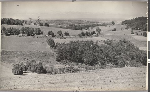 View from Ridge Road, The Dandenongs, [Vic.], 1947