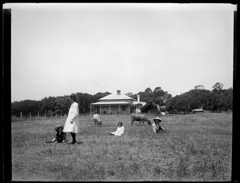 [Wardell children in paddock, "Ivanhoe, Sorrento, Vic.], 1909