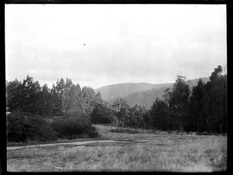 Eltham, 1935