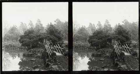 Botanical and Treasury Gardens, Melbourne, Victoria, 1890–1910