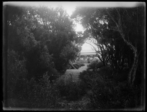 Ivanhoe, Sorrento, Vic, c. 1914