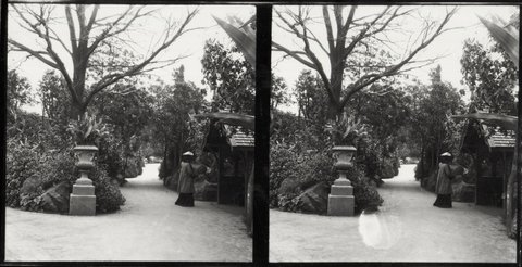 Botanical and Treasury Gardens, Melbourne, Victoria, 1890–1910