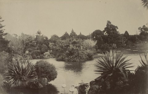Royal Botanical Gardens, Melbourne (Vic.), 1900–10