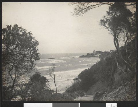 A touch of autumn, Black Rock, [Vic.], 1925