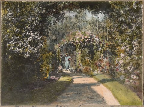 Hawthorn arch, Gussie under Peace arch, 1918, Winscombe, [Tecoma, Vic.]