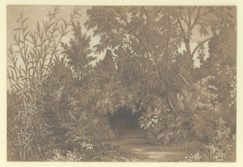 The larger rockery at Jolimont, 1852–54