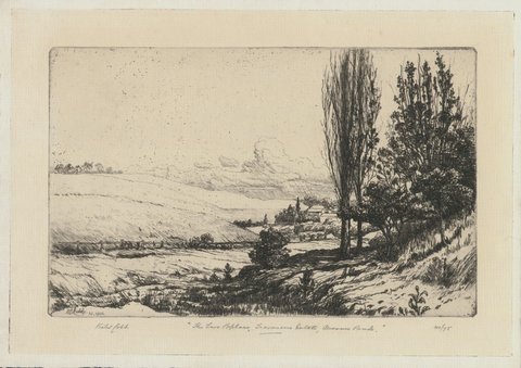 The two poplars, Travancore Estate, Moonee Ponds, 1901
