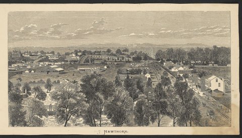 Hawthorn, 1870–80