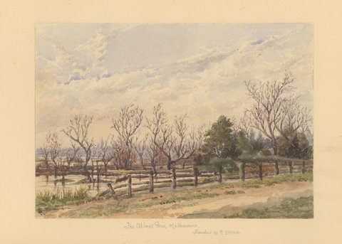 The Albert Park. Melbourne. flooded by R. Yarra, 1892