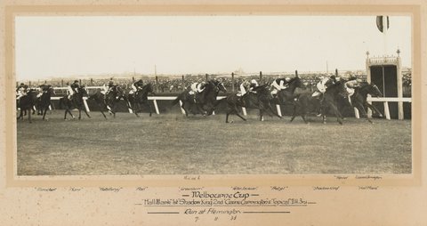 Melbourne Cup, Run at Flemington, 7.11.33, 1933