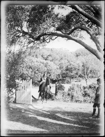 Wardell children at Ivanhoe, Sorrento, Vic, 1914
