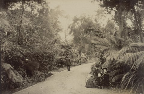 Royal Botanical Gardens, Melbourne (Vic.), 1900–10