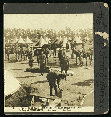 A view in the artillery lines of the Australian Expeditionary Force in camp at Broadmeadows, 1914