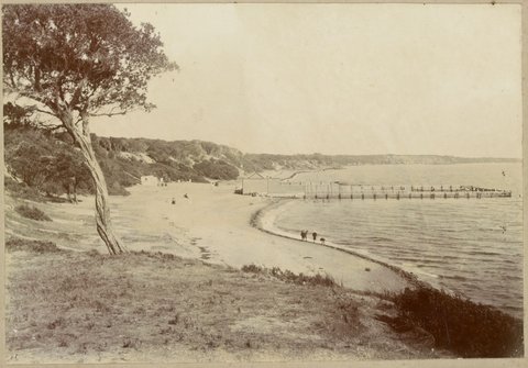 Sandringham Beach, 1900
